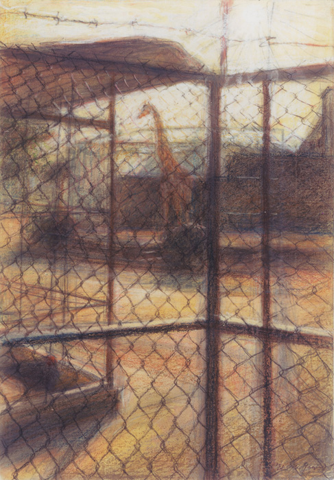 夕方の動物園Ⅱ