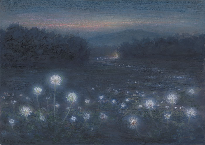 つめくさのあかり