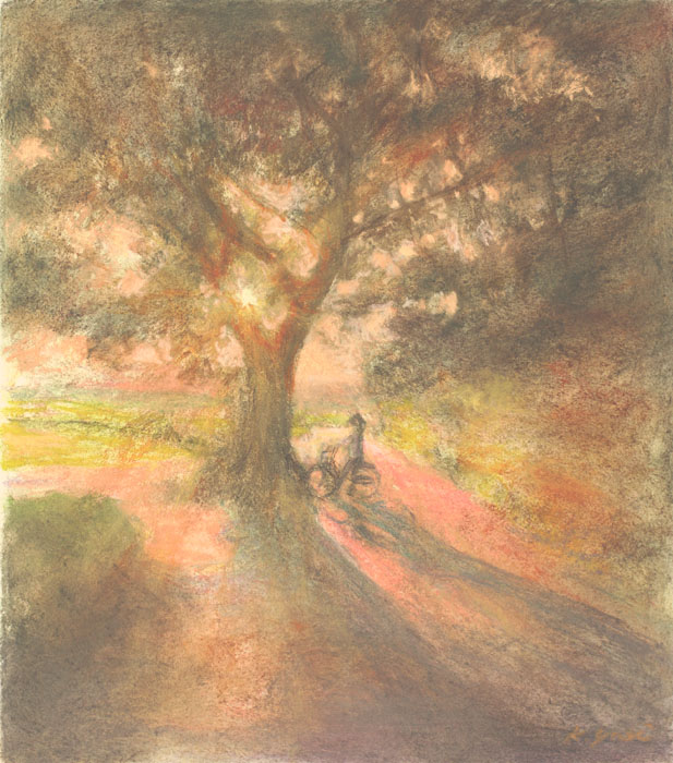 自転車　夏の夕方