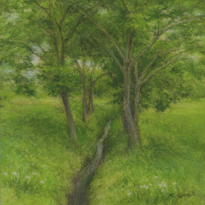 イーハトーブ　樹間の水路